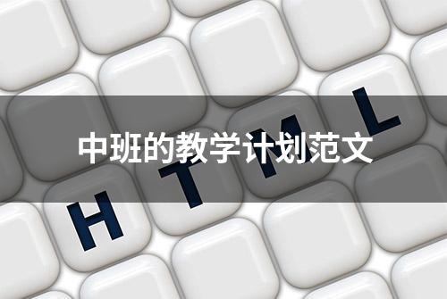 中班的教学计划范文