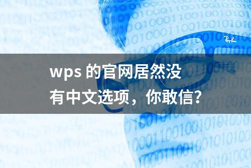 wps 的官网居然没有中文选项，你敢信？