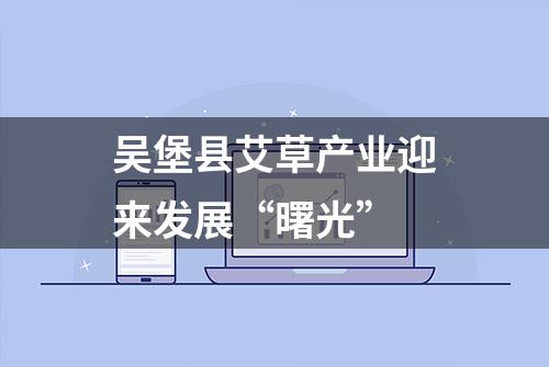 吴堡县艾草产业迎来发展“曙光”