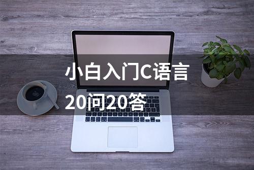 小白入门C语言20问20答