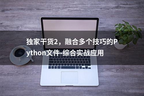 独家干货2，融合多个技巧的Python文件-综合实战应用