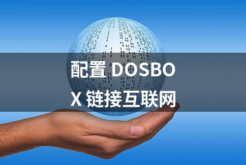 配置 DOSBOX 链接互联网