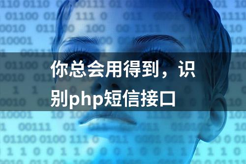 你总会用得到，识别php短信接口