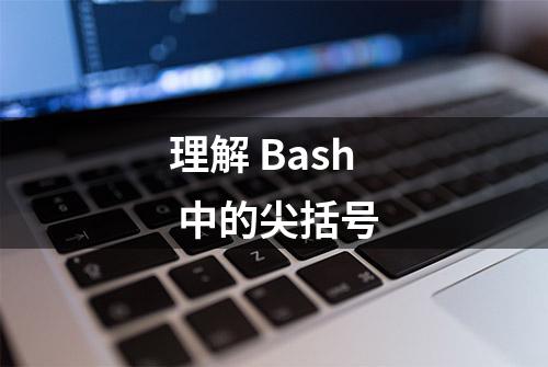 理解 Bash 中的尖括号