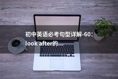 初中英语必考句型详解-60：look after的...