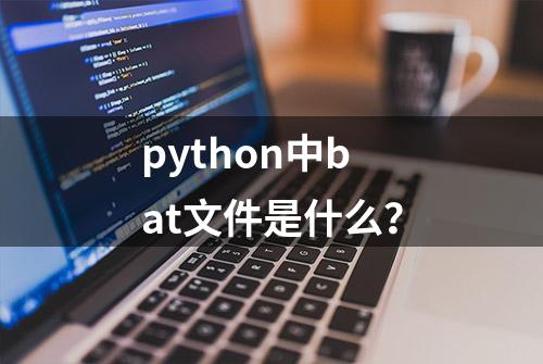 python中bat文件是什么？