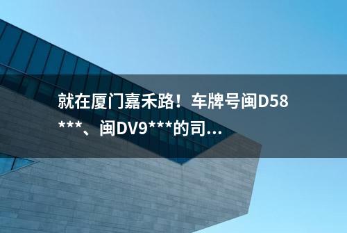 就在厦门嘉禾路！车牌号闽D58***、闽DV9***的司机，接连被查！