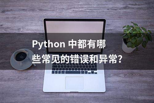 Python 中都有哪些常见的错误和异常？