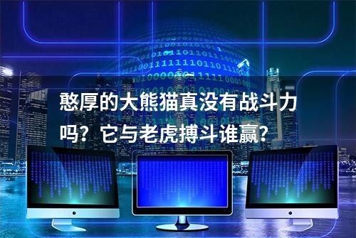 憨厚的大熊猫真没有战斗力吗？它与老虎搏斗谁赢？