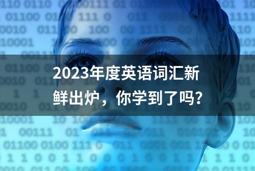 2023年度英语词汇新鲜出炉，你学到了吗？