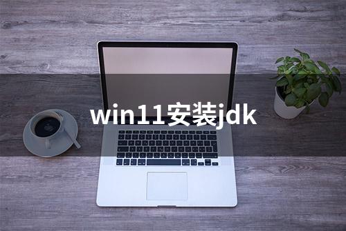 win11安装jdk