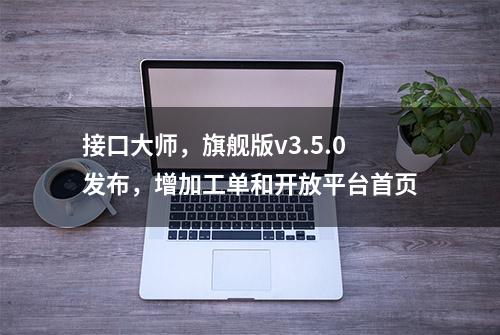 接口大师，旗舰版v3.5.0发布，增加工单和开放平台首页