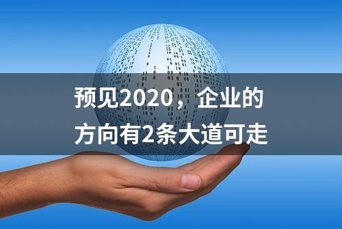 预见2020，企业的方向有2条大道可走