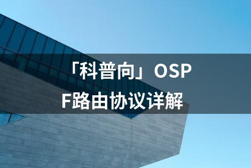 「科普向」OSPF路由协议详解