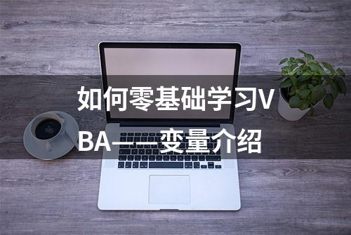 如何零基础学习VBA——变量介绍