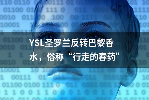 YSL圣罗兰反转巴黎香水，俗称“行走的春药”