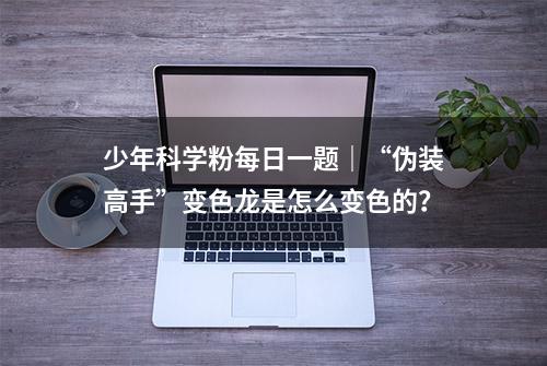 少年科学粉每日一题｜“伪装高手”变色龙是怎么变色的？