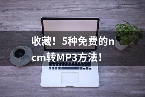 收藏！5种免费的ncm转MP3方法！