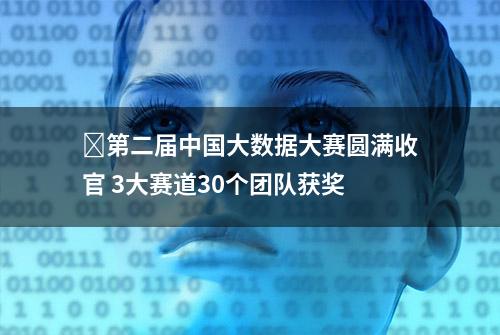 ​第二届中国大数据大赛圆满收官 3大赛道30个团队获奖