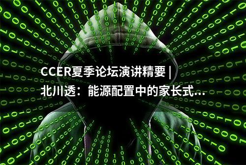 CCER夏季论坛演讲精要 | 北川透：能源配置中的家长式分配与自选