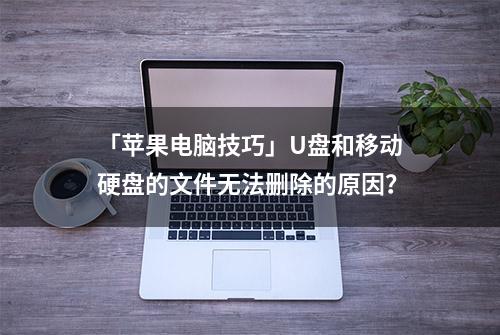 「苹果电脑技巧」U盘和移动硬盘的文件无法删除的原因？