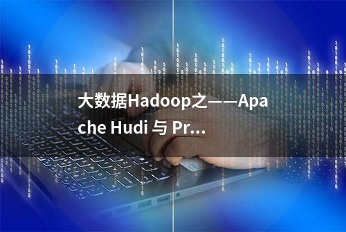 大数据Hadoop之——Apache Hudi 与 Presto/Trino集成