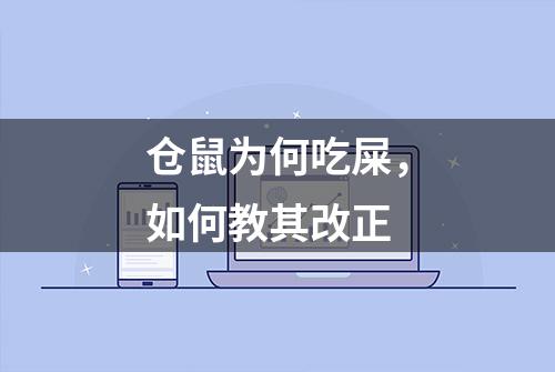 仓鼠为何吃屎，如何教其改正