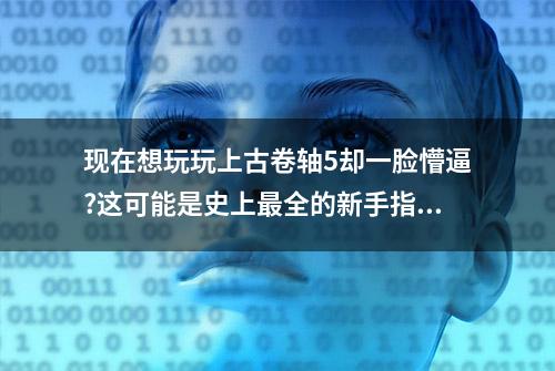 现在想玩玩上古卷轴5却一脸懵逼?这可能是史上最全的新手指南收藏