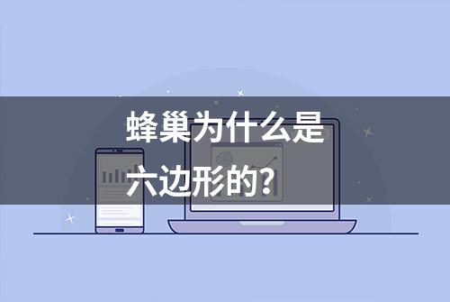 蜂巢为什么是六边形的？