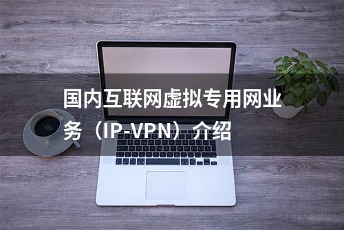 国内互联网虚拟专用网业务（IP-VPN）介绍