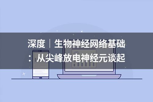 深度｜生物神经网络基础：从尖峰放电神经元谈起