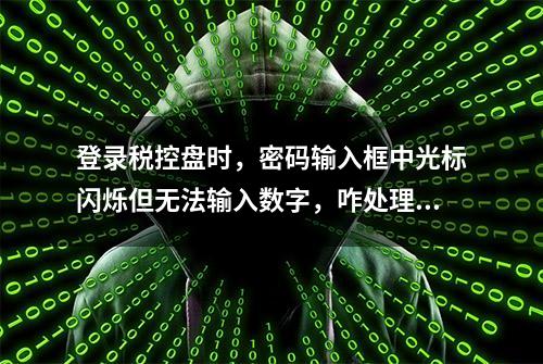 登录税控盘时，密码输入框中光标闪烁但无法输入数字，咋处理？