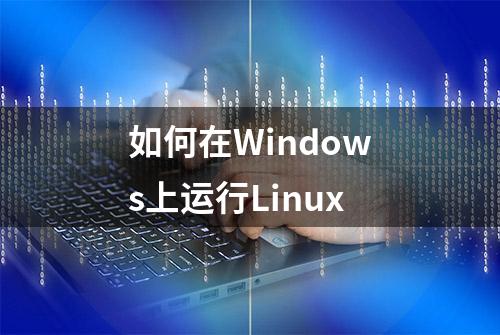 如何在Windows上运行Linux