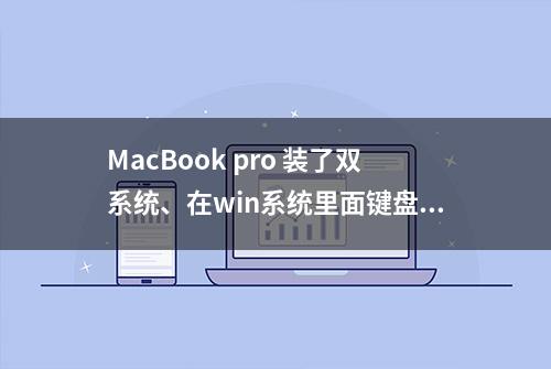 MacBook pro 装了双系统、在win系统里面键盘不亮、而且f一排的都不灵，怎样设置