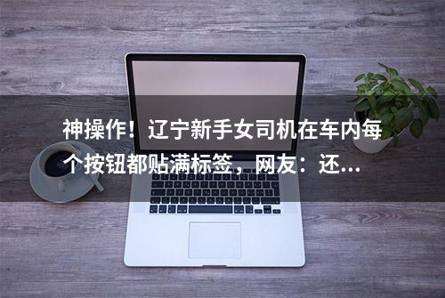 神操作！辽宁新手女司机在车内每个按钮都贴满标签，网友：还是雇一个司机吧