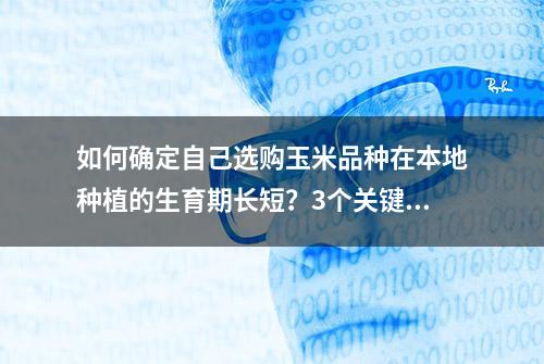 如何确定自己选购玉米品种在本地种植的生育期长短？3个关键信息