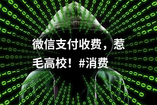 微信支付收费，惹毛高校！#消费