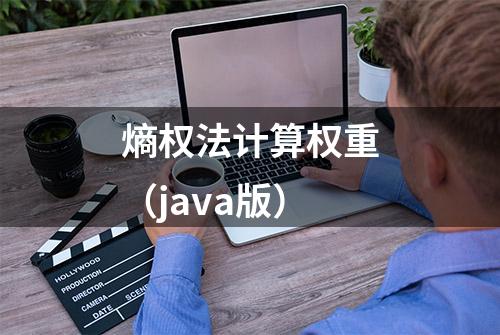 熵权法计算权重（java版）