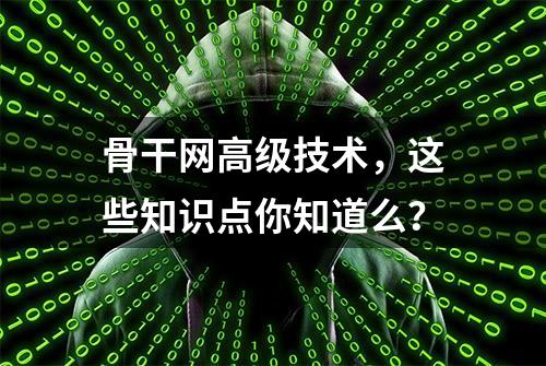 骨干网高级技术，这些知识点你知道么？