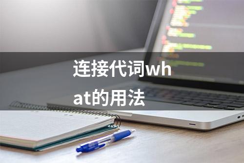 连接代词what的用法