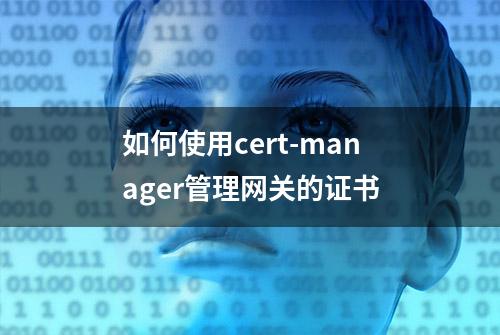 如何使用cert-manager管理网关的证书