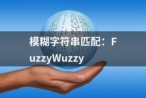 模糊字符串匹配：FuzzyWuzzy