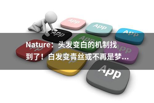 Nature：头发变白的机制找到了！白发变青丝或不再是梦！