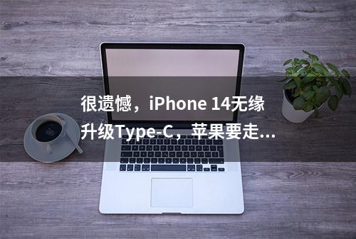 很遗憾，iPhone 14无缘升级Type-C，苹果要走自己的路