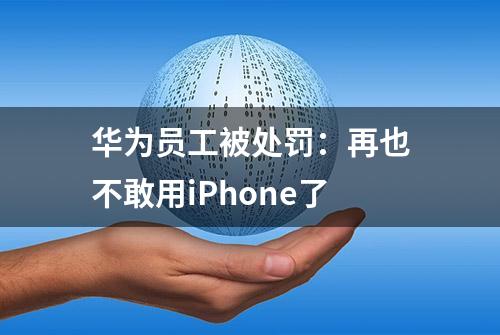 华为员工被处罚：再也不敢用iPhone了