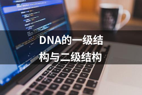 DNA的一级结构与二级结构