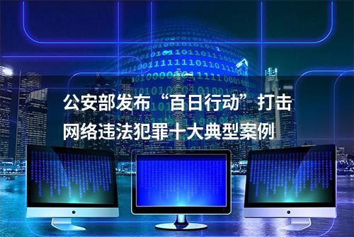 公安部发布“百日行动”打击网络违法犯罪十大典型案例