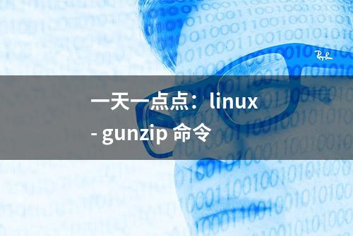 一天一点点：linux - gunzip 命令