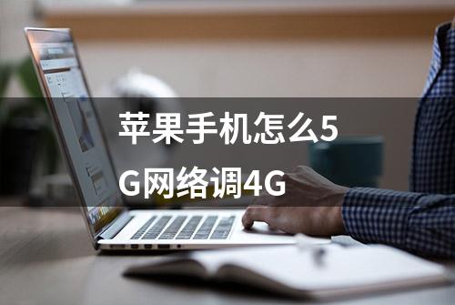 苹果手机怎么5G网络调4G