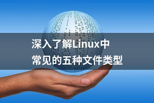 深入了解Linux中常见的五种文件类型